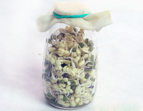 4 ways to make delicious sprouts right at home are very simple Picture 3