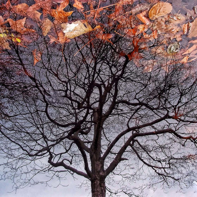 4 ways to take photos with rain give the picture more romantic part Picture 6