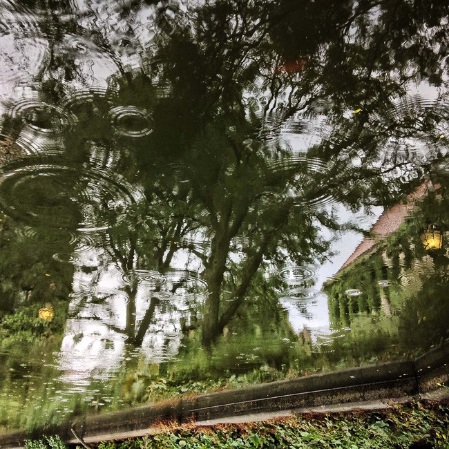 4 ways to take photos with rain give the picture more romantic part Picture 8