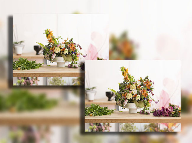 4 ways to use the Clone Stamp tool in Photoshop Picture 3