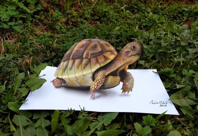 40+ vivid 3D paintings make you believe your eyes Picture 15