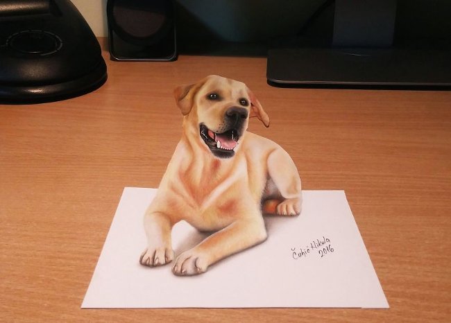 40+ vivid 3D paintings make you believe your eyes Picture 16