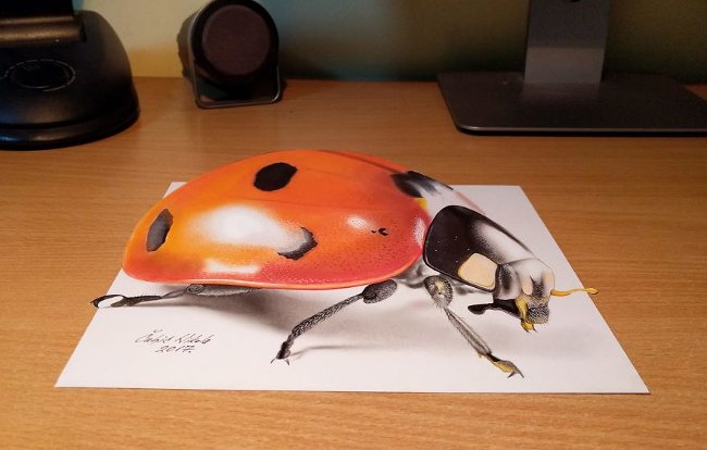 40+ vivid 3D paintings make you believe your eyes Picture 28