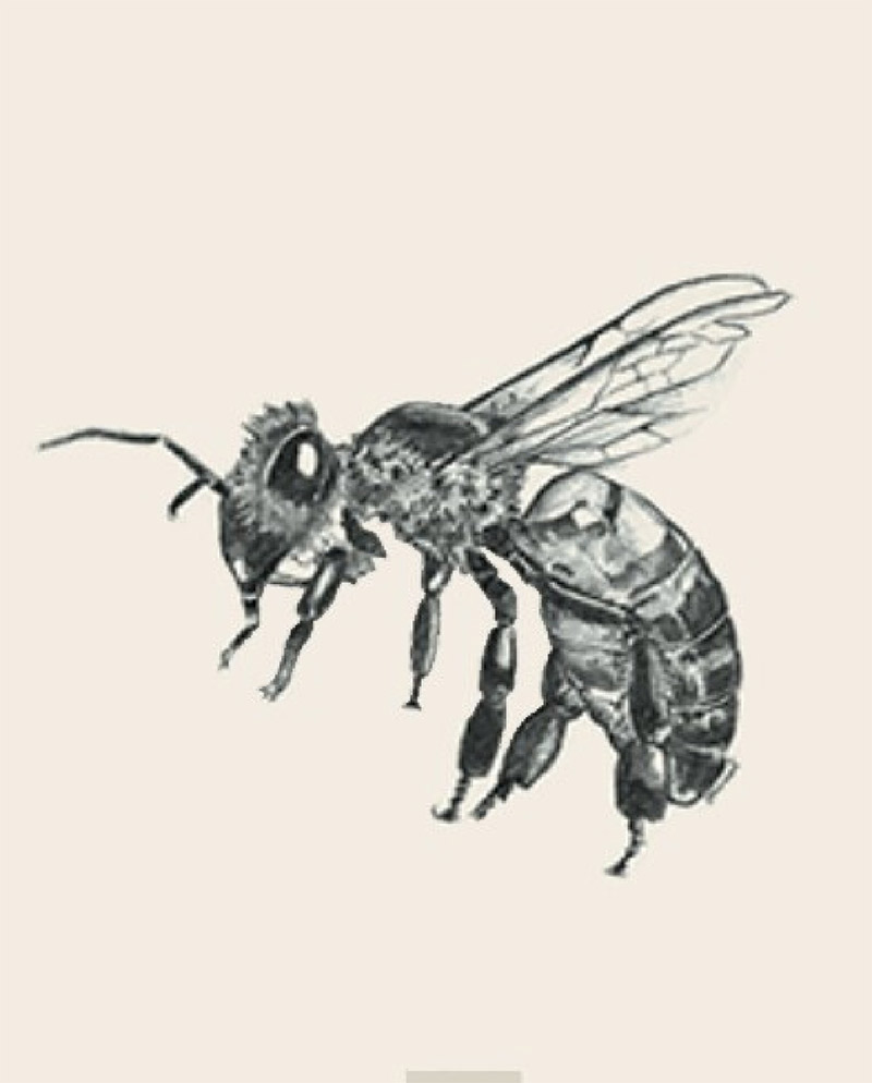 4D animal photo collection for Animal 4D + Picture 11