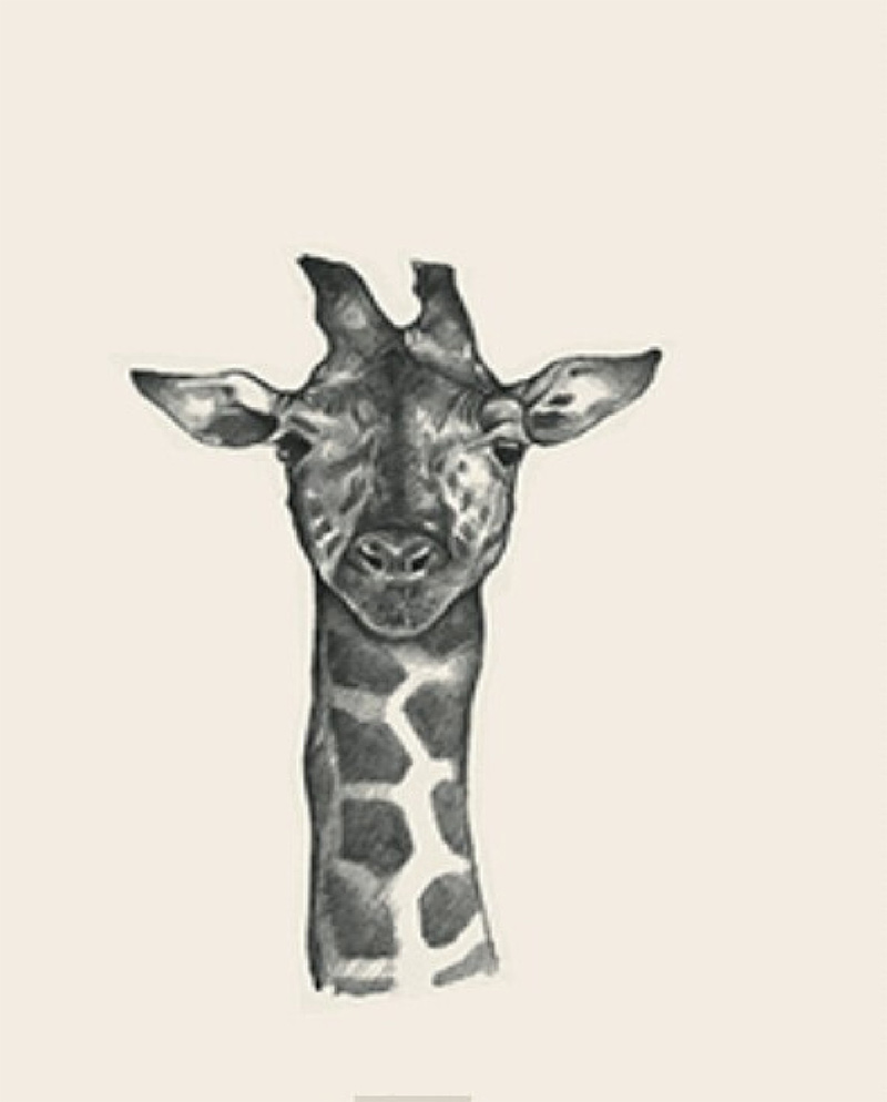 4D animal photo collection for Animal 4D + Picture 20