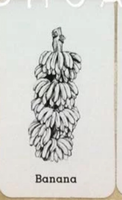 4D animal photo collection for Animal 4D + Picture 27