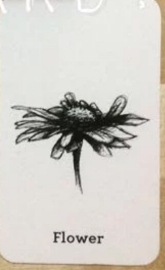 4D animal photo collection for Animal 4D + Picture 29