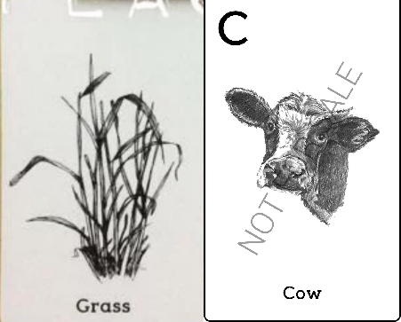 4D animal photo collection for Animal 4D + Picture 30