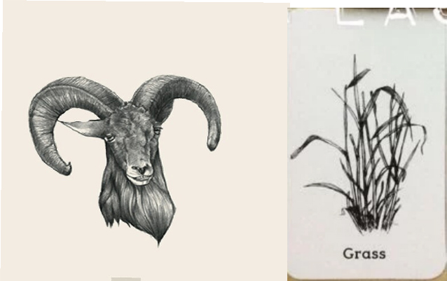 4D animal photo collection for Animal 4D + Picture 32