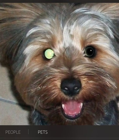 5 basic photo editing tips on Adobe Photoshop Express Picture 5