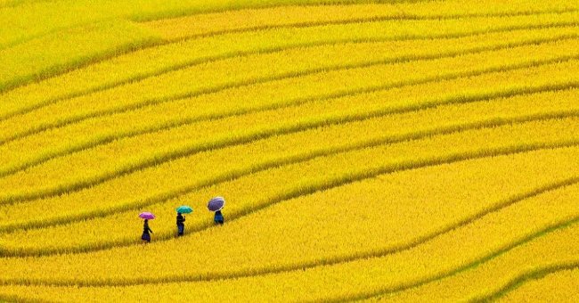 5 beautiful tourist destinations in the Northwest mountains Picture 3