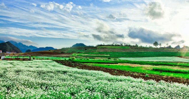 5 beautiful tourist destinations in the Northwest mountains Picture 4