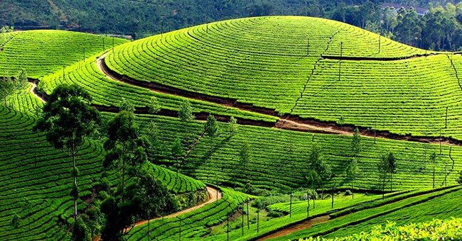 5 beautiful tourist destinations in the Northwest mountains Picture 5