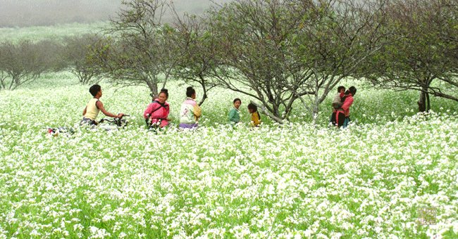 5 beautiful tourist destinations in the Northwest mountains Picture 6