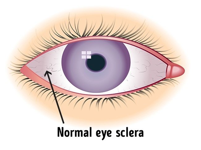 5 daily jobs are thought to be harmful to your health Picture 3