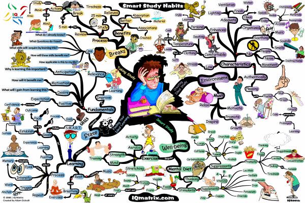 5 effective study habits need to start today Picture 3