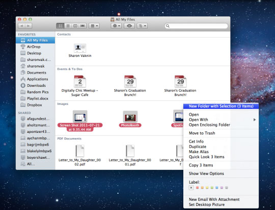 5 great features of Lion Picture 3