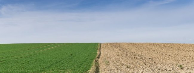 5 helpful tips to help you simplify your life from today Picture 2