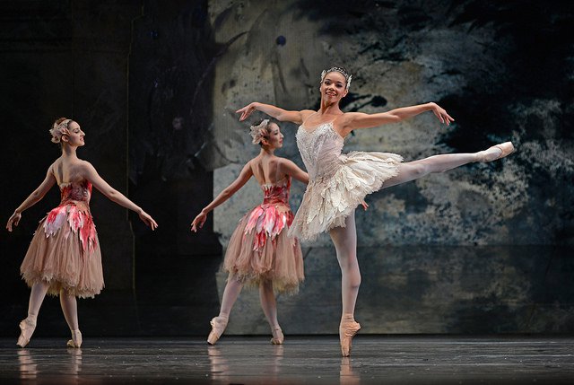 5 lessons of discipline in life from ballet dancers Picture 5
