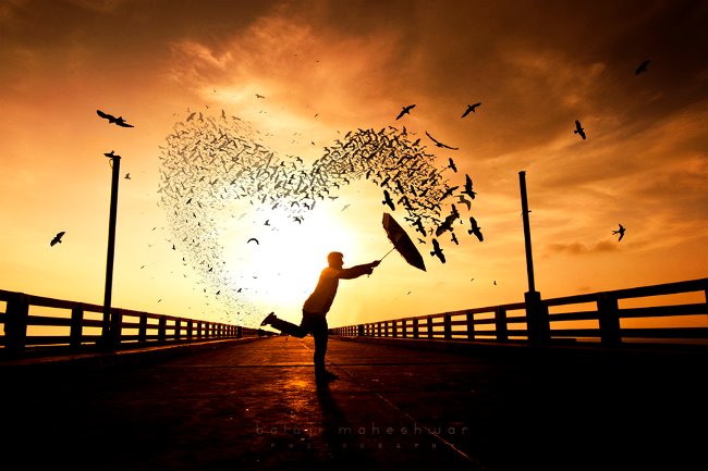 5 reasons why 'the more intelligent, the harder it is for a lover' Picture 4