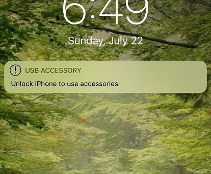 5 security settings to do right on iOS 12 Picture 2
