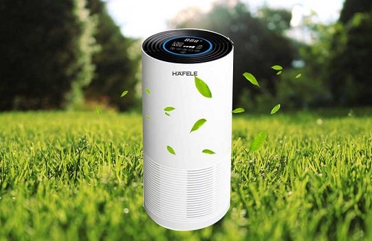 5+ Tet gift trends 2020 for businesses and individuals Picture 22