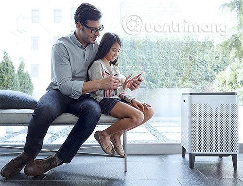 5 things to consider when buying an air purifier Picture 4