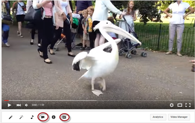 5 ways super easy to add subtitles, caption to video Picture 3