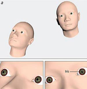 5 ways to identify fake photos Picture 3