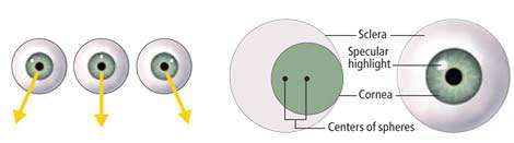 5 ways to identify fake photos Picture 6