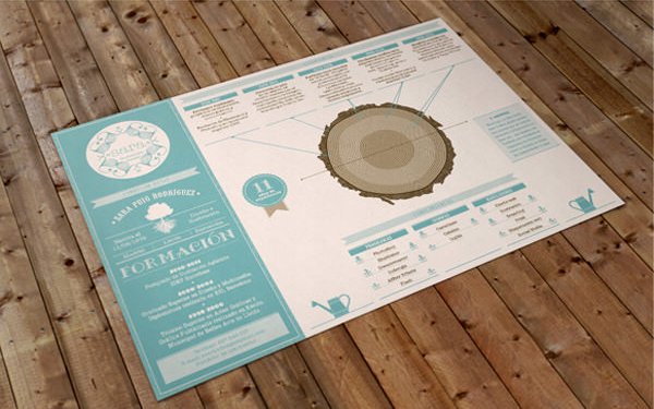 50 beautiful CV templates, personality to help you score with employers Picture 36