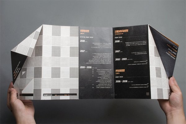 50 beautiful CV templates, personality to help you score with employers Picture 38