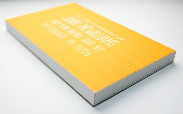 50 beautiful CV templates, personality to help you score with employers Picture 6