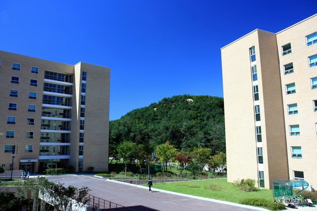 50 best computer science universities in the world Picture 11