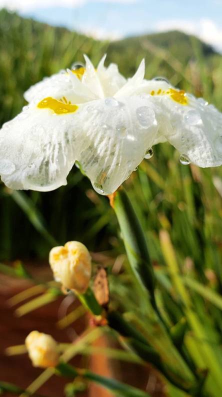 50+ best phone wallpapers Picture 26