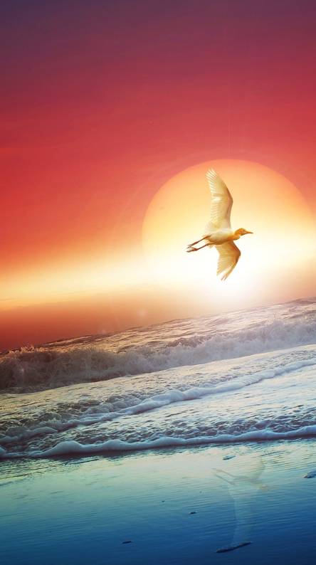 50+ best phone wallpapers Picture 28