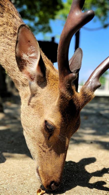 50+ best phone wallpapers Picture 29