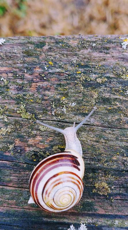 50+ best phone wallpapers Picture 34