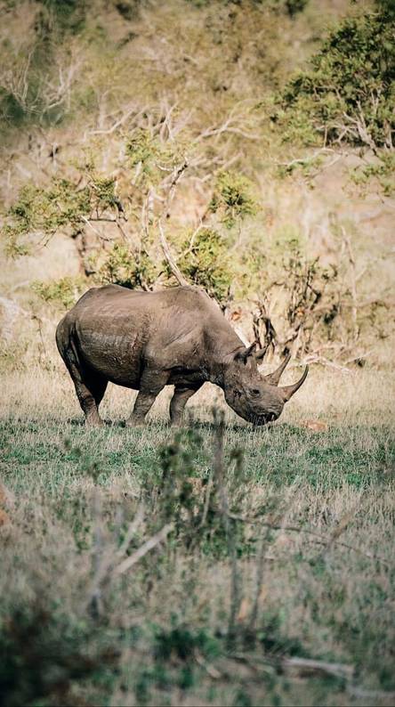 50+ best phone wallpapers Picture 41