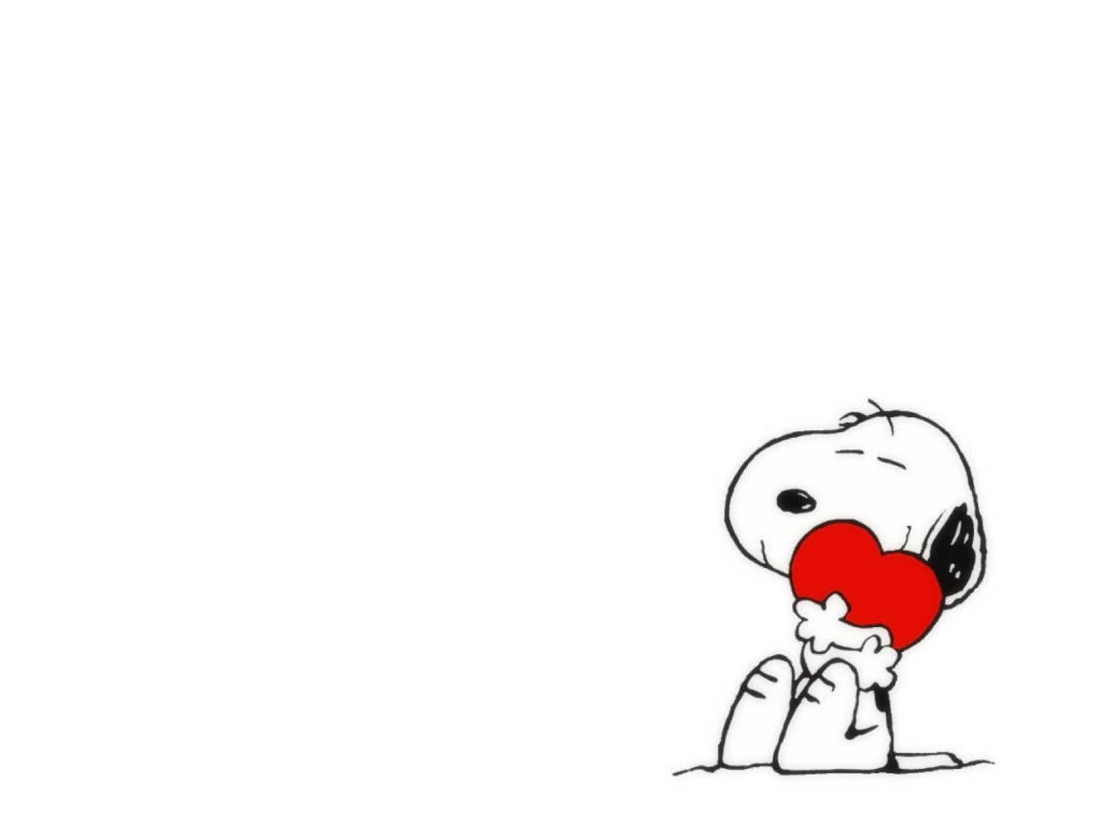 50+ funniest, cutest Powerpoint wallpapers Picture 5