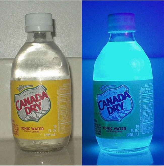 52 funny facts about everyday things we don't expect (Part 2) Picture 17