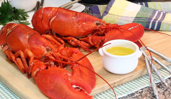 6 delicious dishes from lobster and how to prepare Picture 2