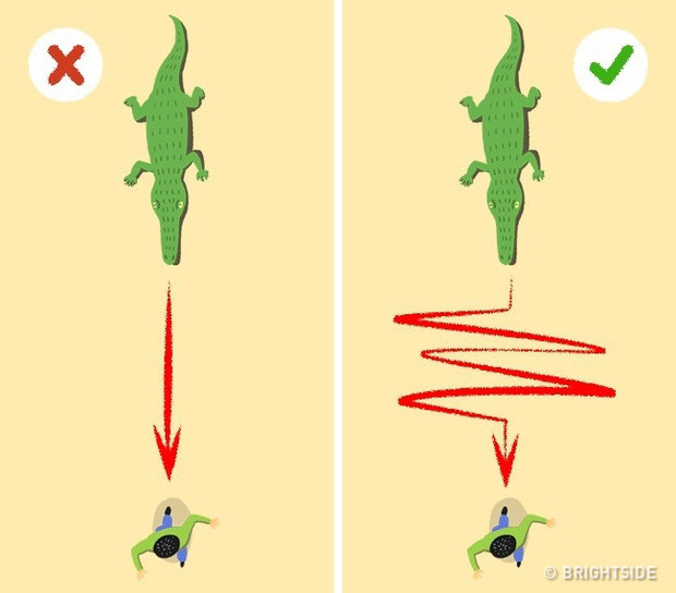 6 escape secrets in the context of 'thousand trees hanging hair' Picture 2