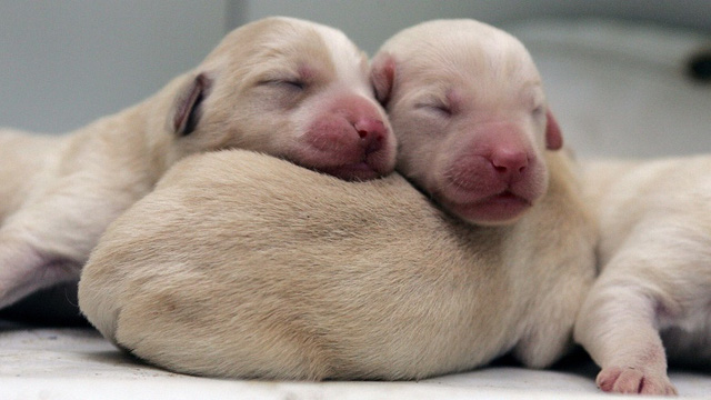 6 famous inventions but made scientists regret for life Picture 6