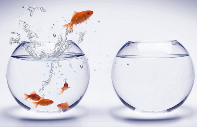 6 habits that help you develop brain power Picture 4