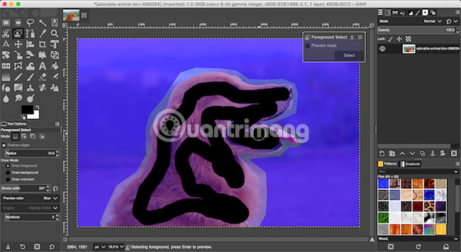 6 photo editing tips with GIMP Picture 3