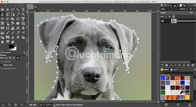 6 photo editing tips with GIMP Picture 6