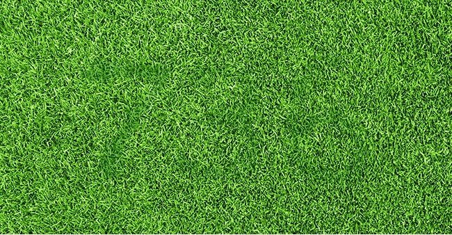 6 puzzles that make you 'confused' and not sure which one to answer Picture 7