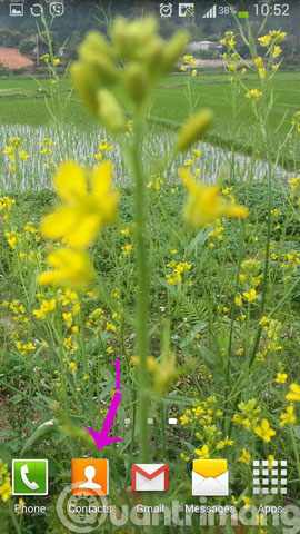 6 simple ways to backup phone numbers in Android phone contacts Picture 5