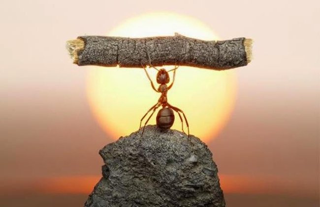 6 surprising defects only those who are too smart Picture 6